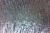 Sapphire (London)- Quartzite**